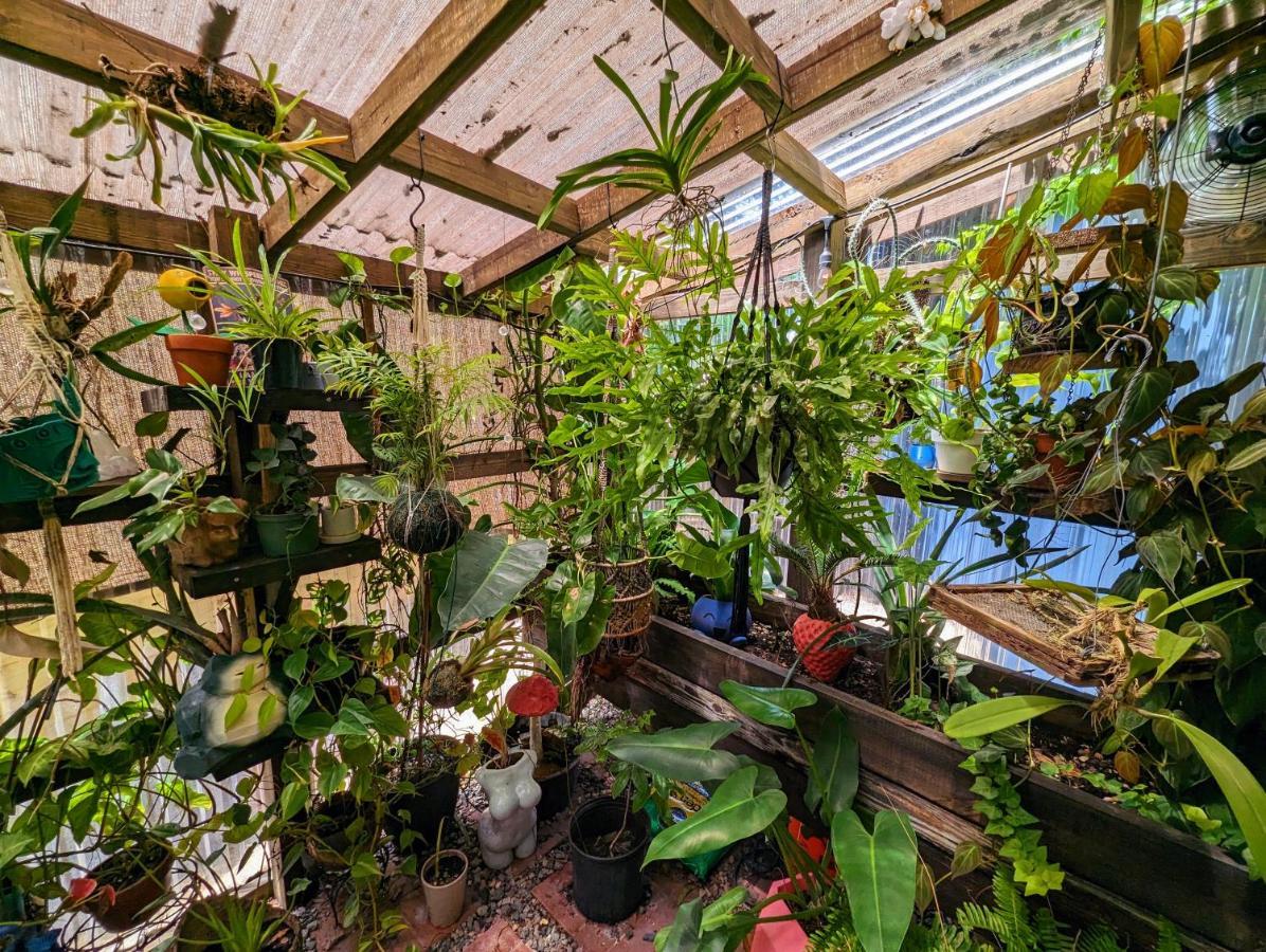 Villa Cozy Af Tiny-House Oasis Tampa Exterior foto