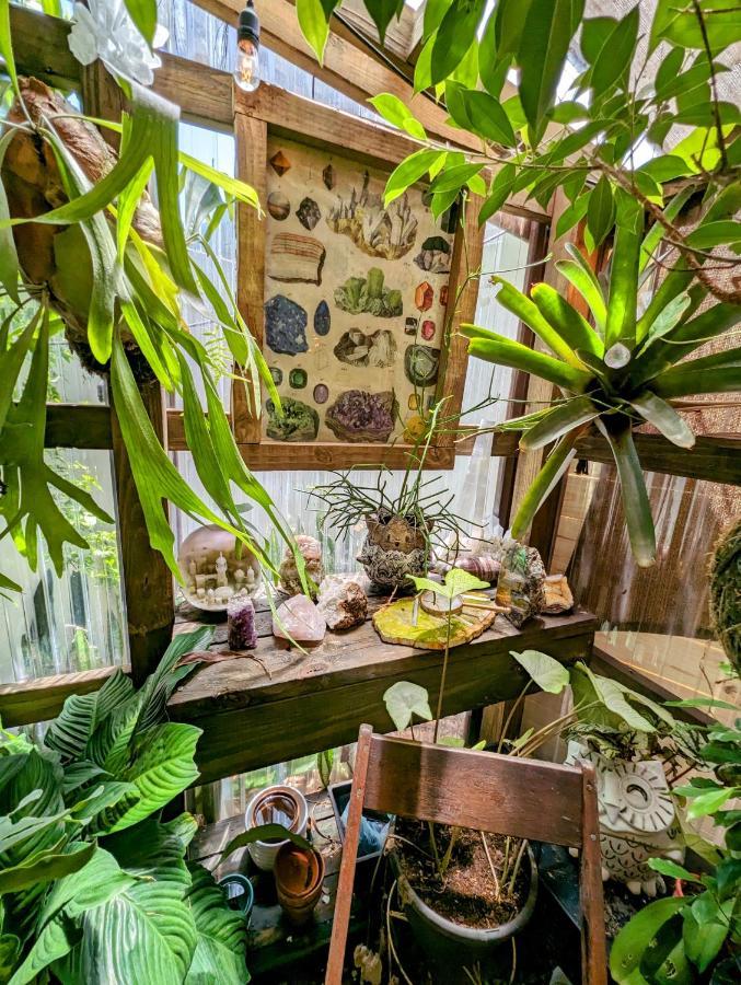 Villa Cozy Af Tiny-House Oasis Tampa Exterior foto