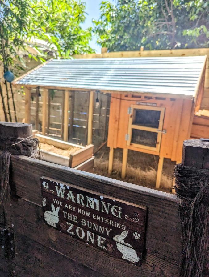 Villa Cozy Af Tiny-House Oasis Tampa Exterior foto